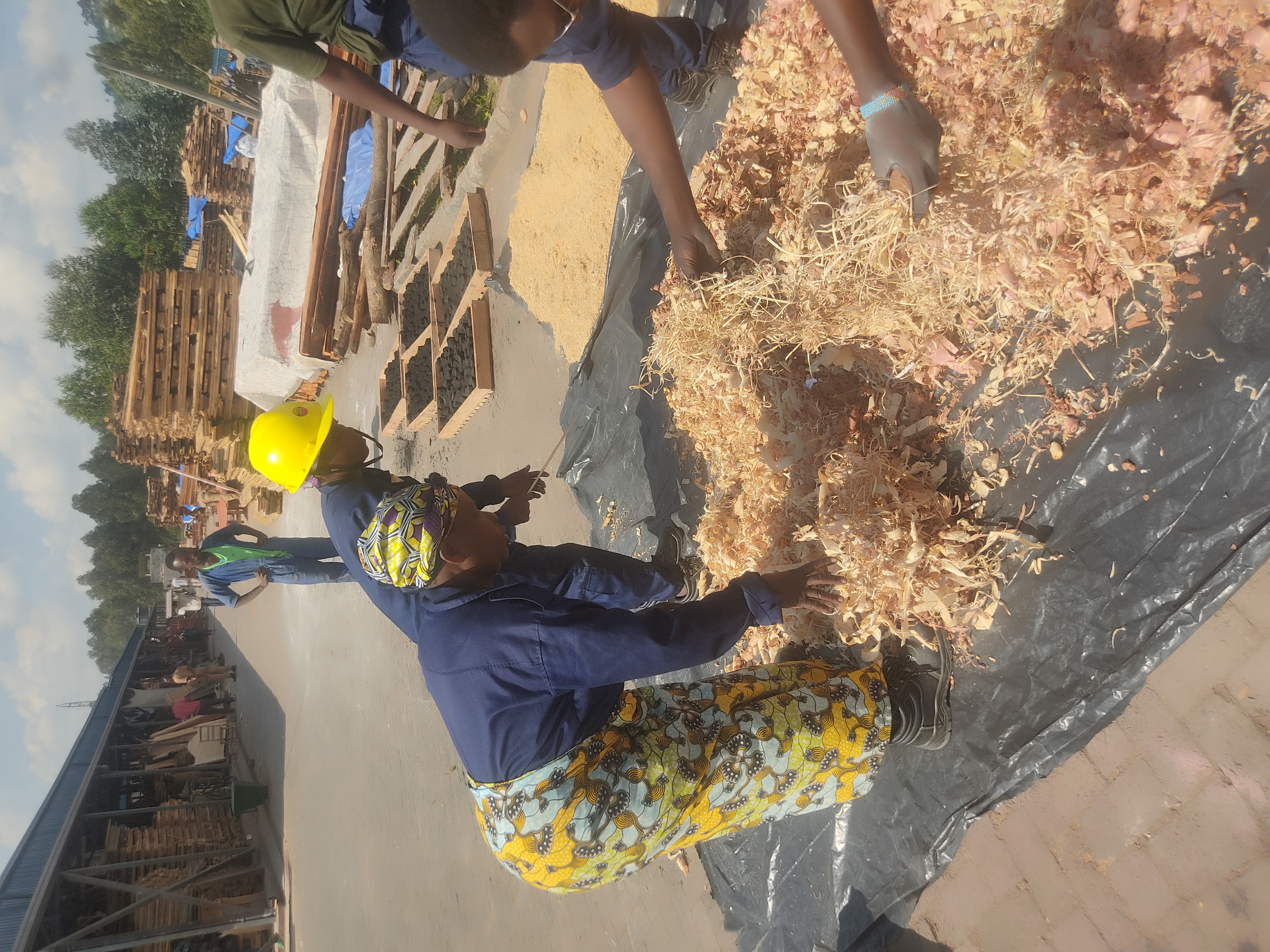 Rural Electrification Project